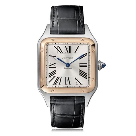 cartier w2sa0011|cartier santos 29mm automatic.